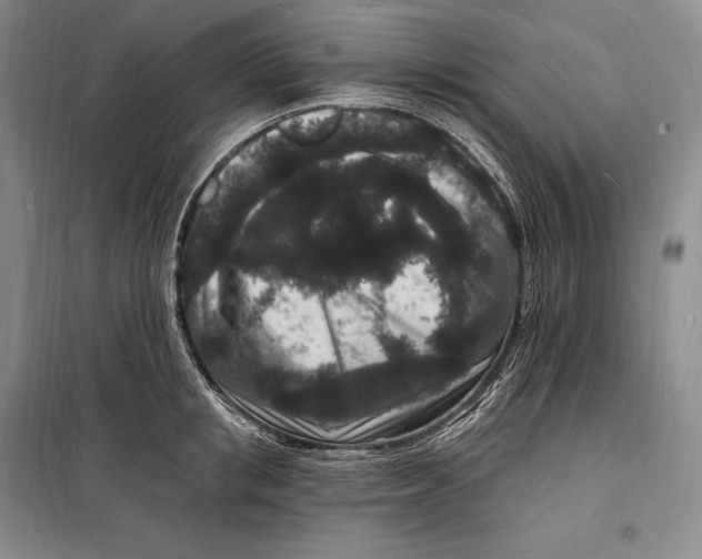 X0000098230853200805151339