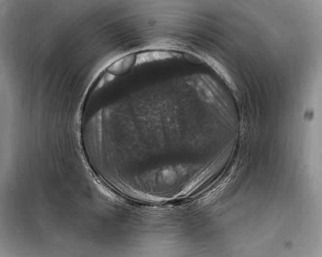 X0000098230854200805151339