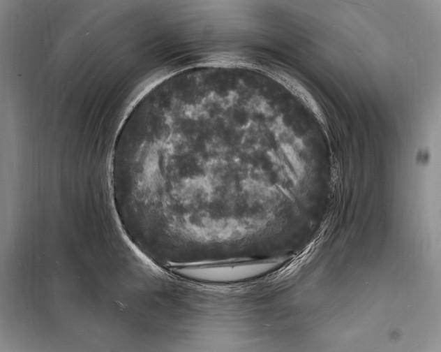 X0000098230855200805151339