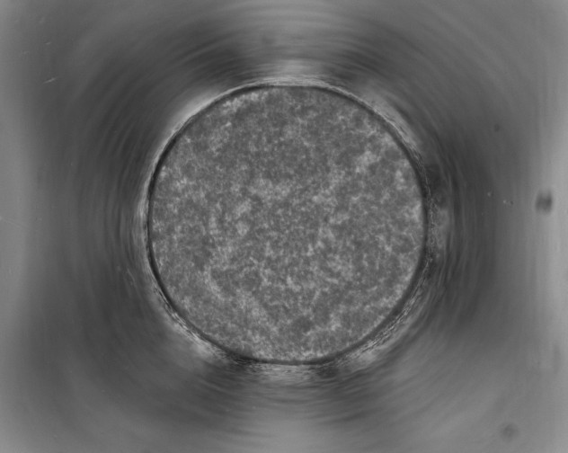 X0000098230856200805151339