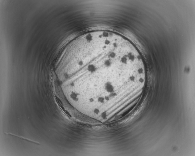 X0000098230857200805151340