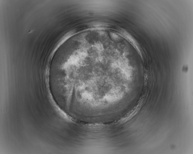 X0000098230859200805151340