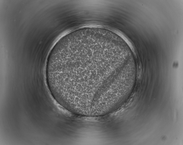 X0000098230861200805151340