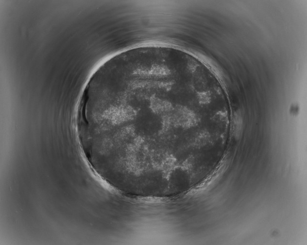 X0000098230862200805151340