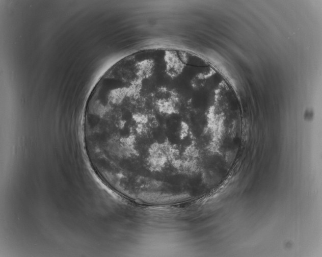 X0000098230863200805151340