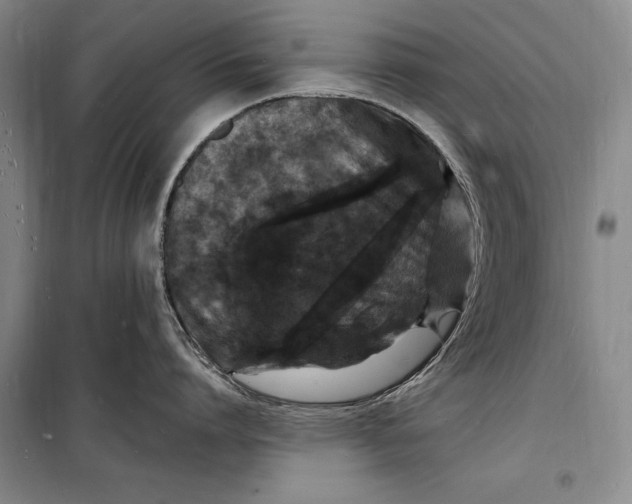 X0000098230864200805151340