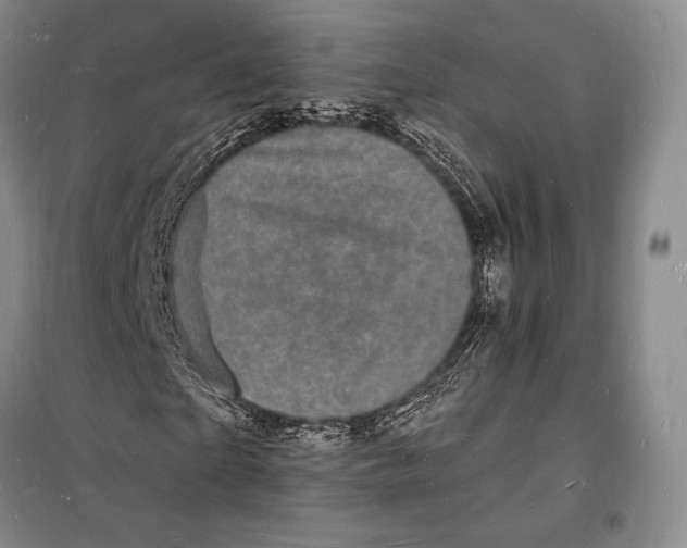 X0000098230865200805151339