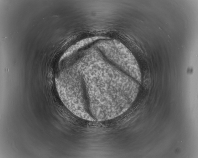 X0000098230866200805151339