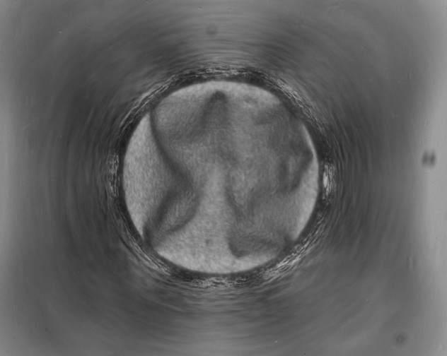 X0000098230867200805151339