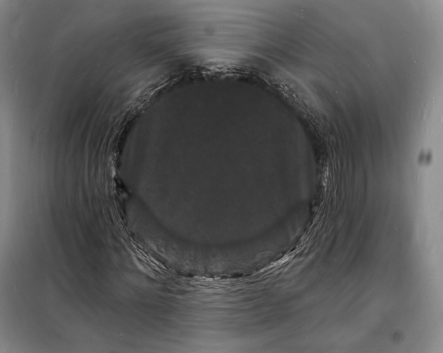 X0000098230868200805151339