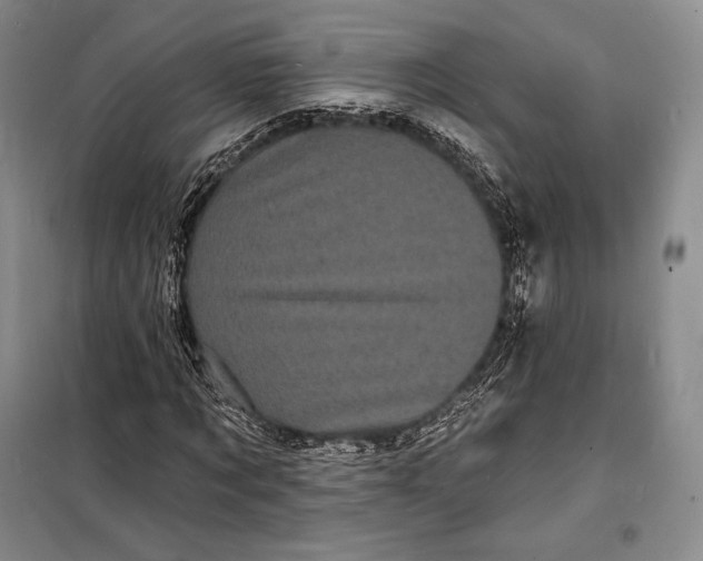 X0000098230869200805151339