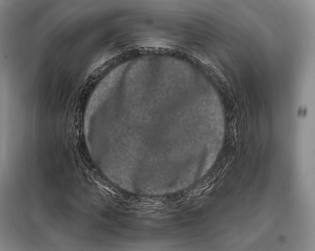 X0000098230870200805151339