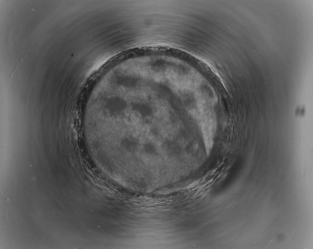 X0000098230871200805151339