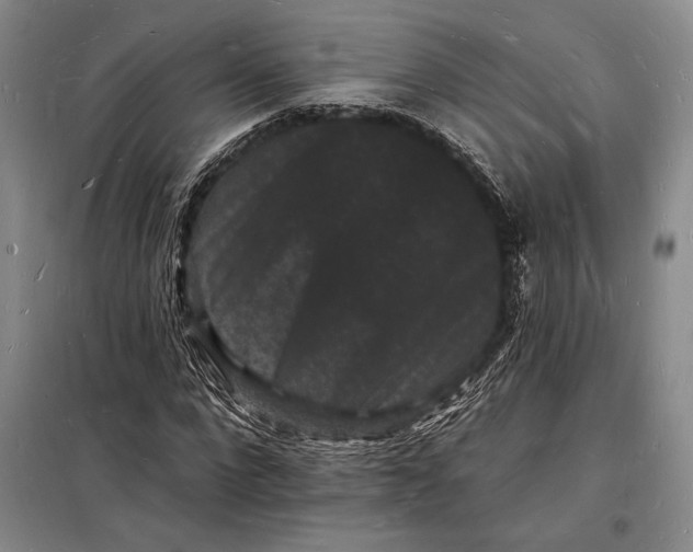 X0000098230872200805151339