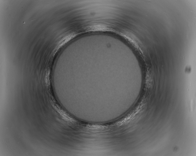 X0000098230873200805151339