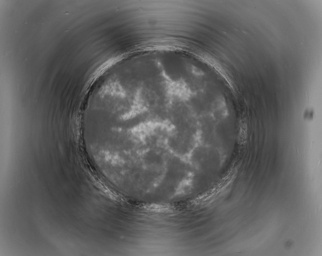 X0000098230874200805151339