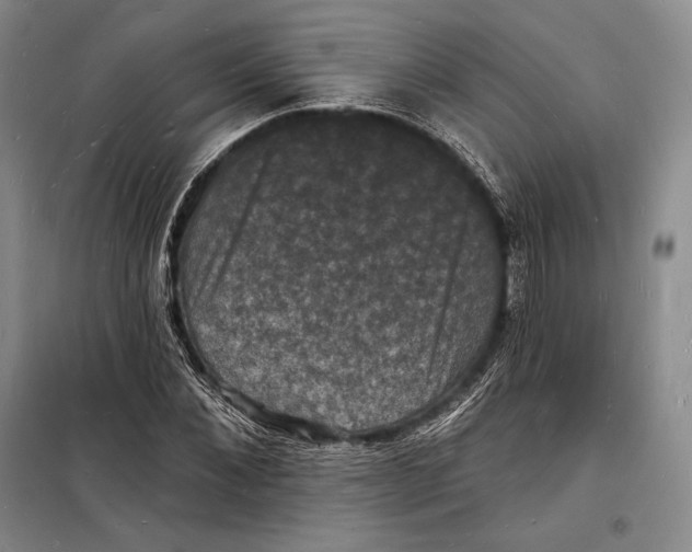 X0000098230876200805151339