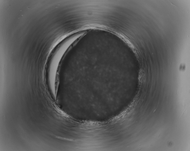 X0000098230877200805151339