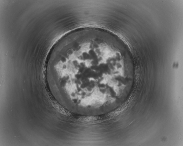 X0000098230879200805151339