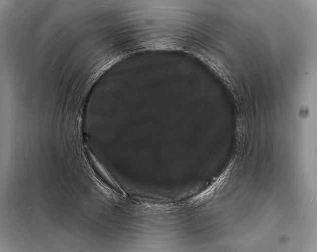 X0000098230881200805151339