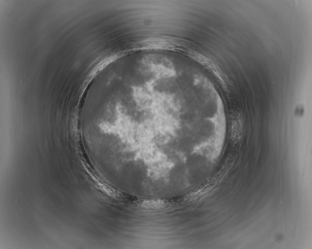 X0000098230882200805151339