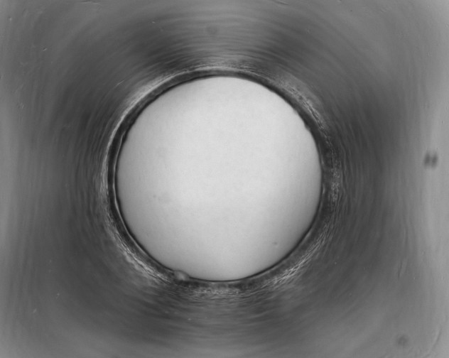 X0000098230884200805151339