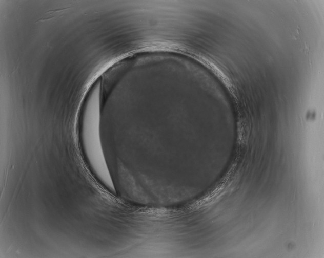 X0000098230885200805151339