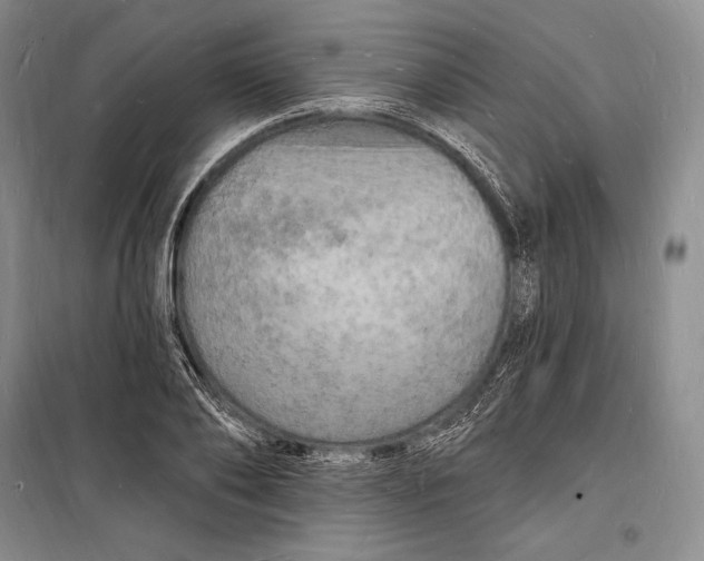 X0000098230886200805151339