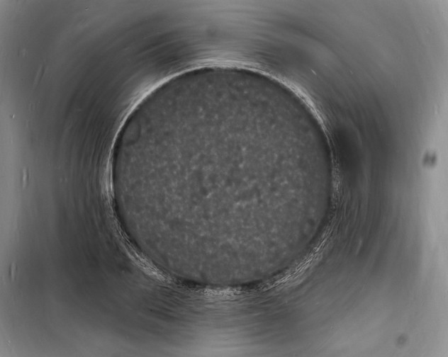 X0000098230887200805151339