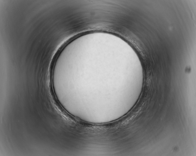 X0000098230888200805151339