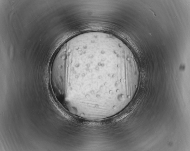 X0000098230890200805151339