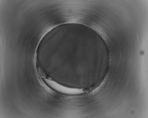 X0000098230892200805151338