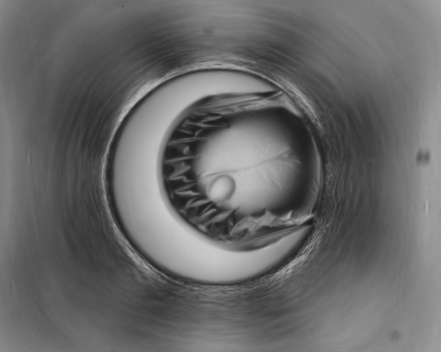 X0000098230893200805151338