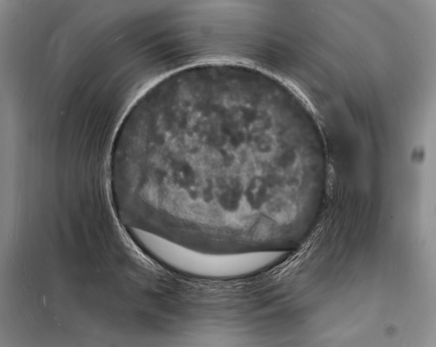 X0000098230895200805151338