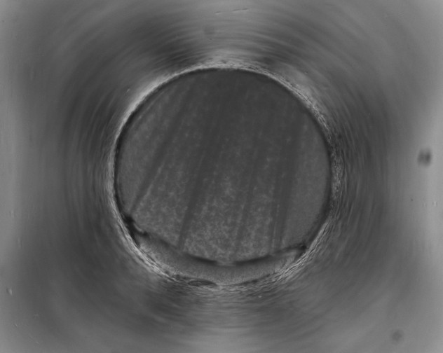 X0000098230896200805151338