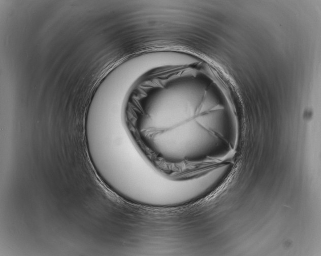 X0000098230897200805151338