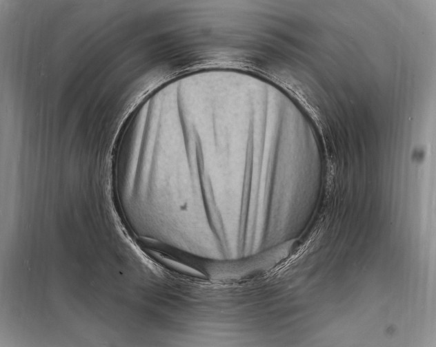 X0000098230898200805151338