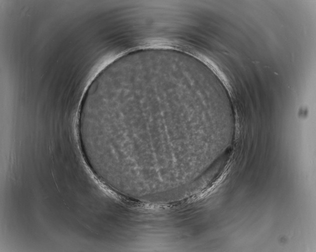 X0000098230901200805151338