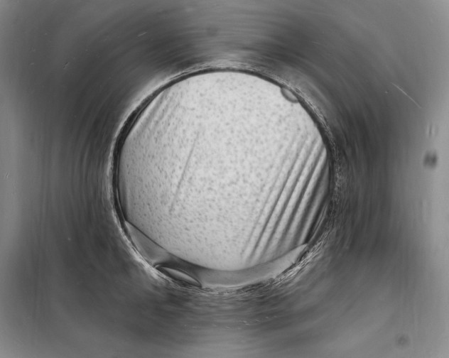 X0000098230902200805151338