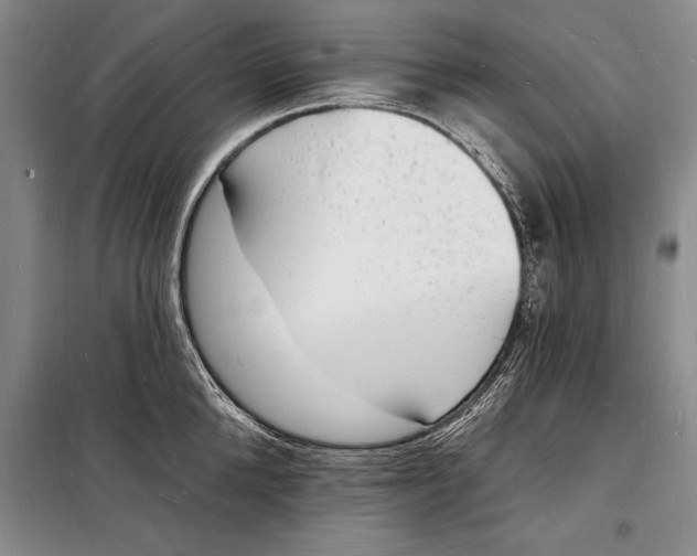 X0000098230904200805151338