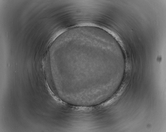 X0000098230905200805151338