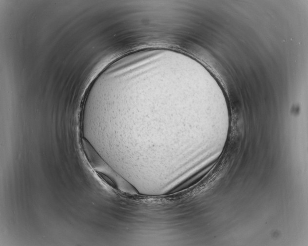 X0000098230906200805151338