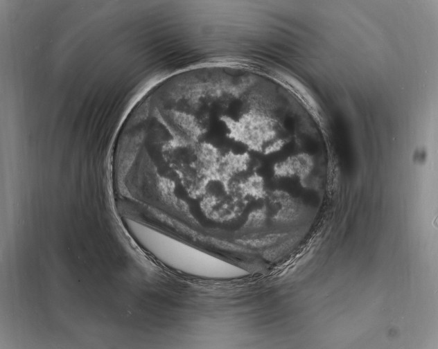 X0000098230907200805151338