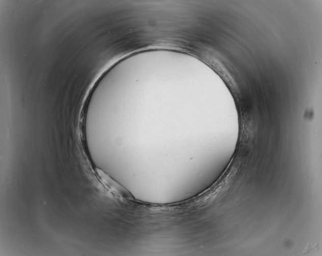 X0000098230908200805151338