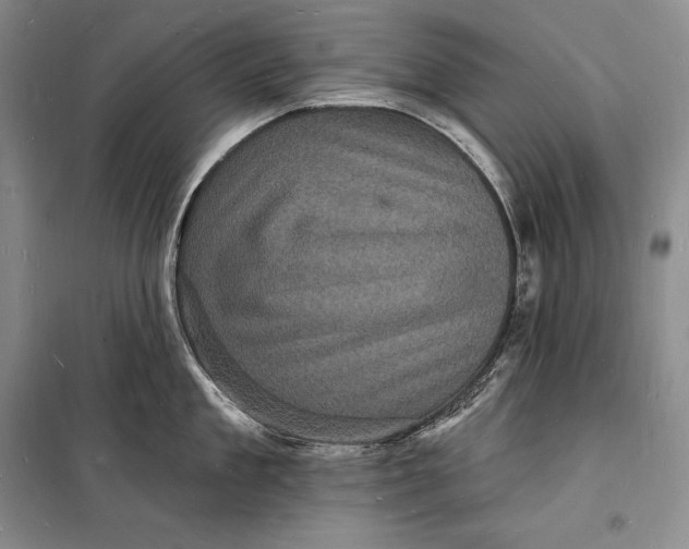 X0000098230909200805151338