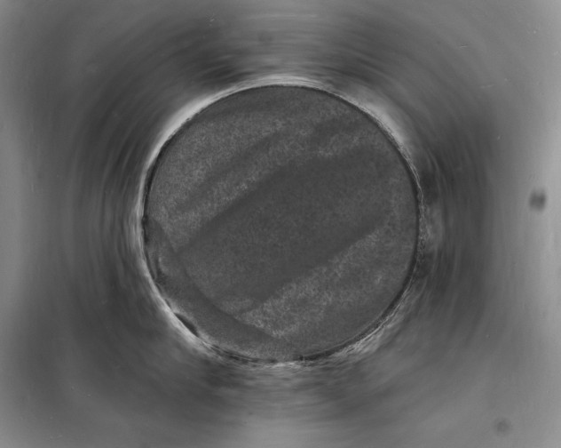 X0000098230910200805151338