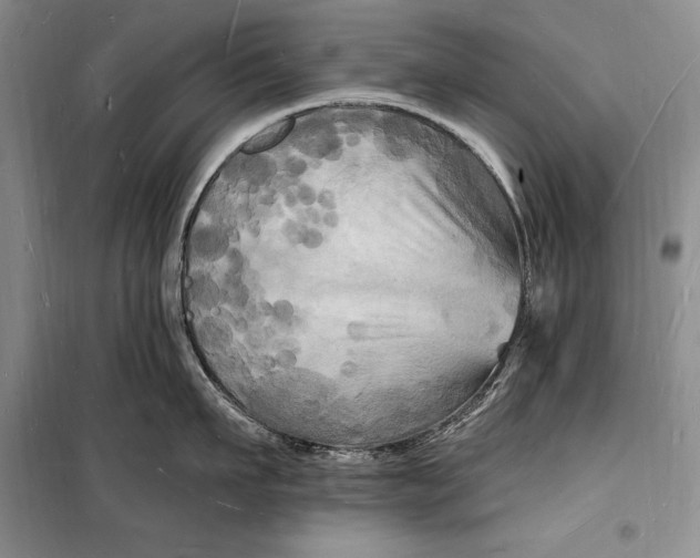 X0000098230911200805151338