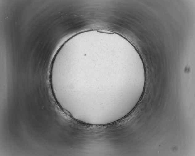 X0000098230912200805151338