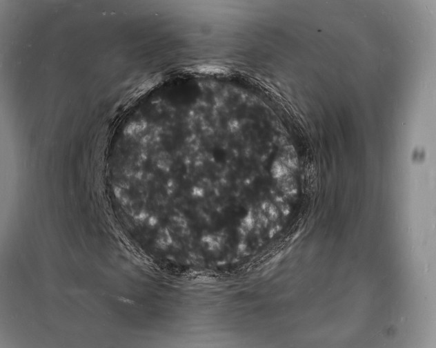 X0000098230913200805151337