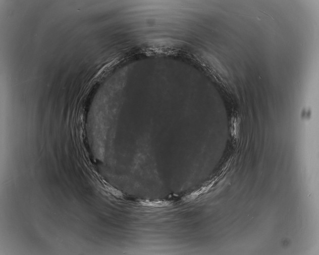 X0000098230915200805151337